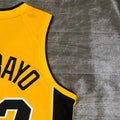 NBA Miami Hearts V-Neck Yellow Jersey ADEBAYO#13 S-XXL