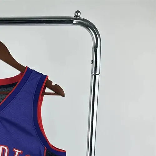 NBA Toronto Raptors 2425 Retro Purple V-Neck Jersey CARTER#15 S-XXL