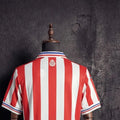 Retro 201617 Chivas 110th Anniversary jersey Fan Version