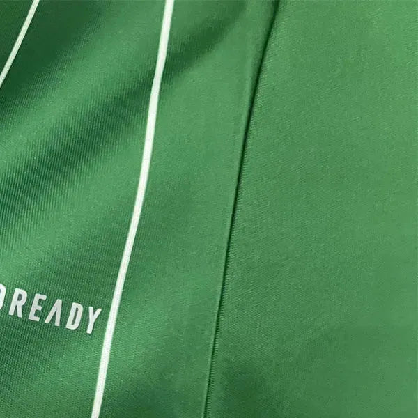 2425 Celtics Special Edition Jersey Fan Version