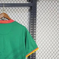 2526 Cameroon Home Jersey Fan Version