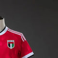 United Arab Emirates 2026 World Cup Away Jersey Fan version
