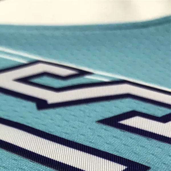 NBA Charlotte Hornets V-Neck Light Blue Jersey HAYWARD#20 S-XXL
