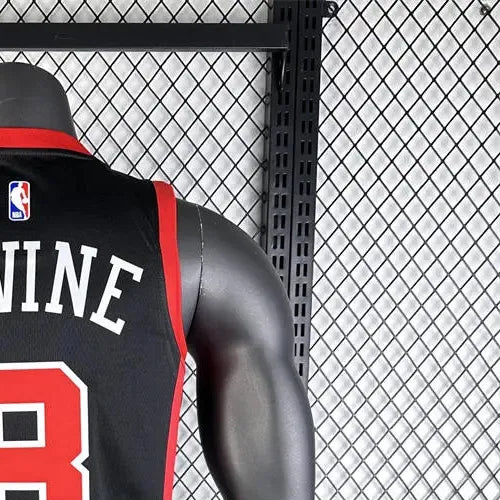 NBA Chicago Bulls Michael LAVINE#8 2324 Swingman Jersey - City Edition s-xxl