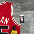 NBA Chicago Bulls Round neck Red Jersey JORDAN#45 S-XXL