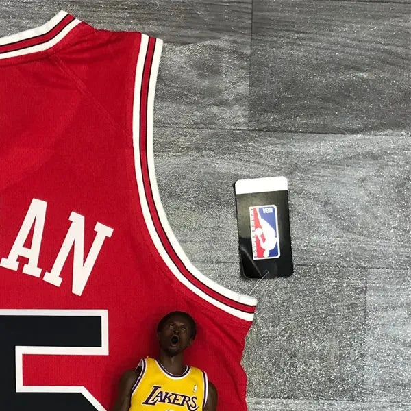 NBA Chicago Bulls Round neck Red Jersey JORDAN#45 S-XXL