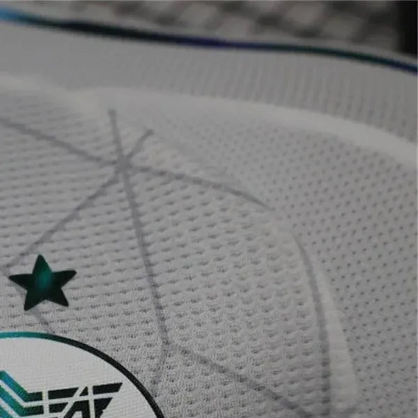 2425 Algeria national Special Edition jersey Player Version