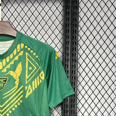 202425 Jamaica Pre-match training jersey Fan version