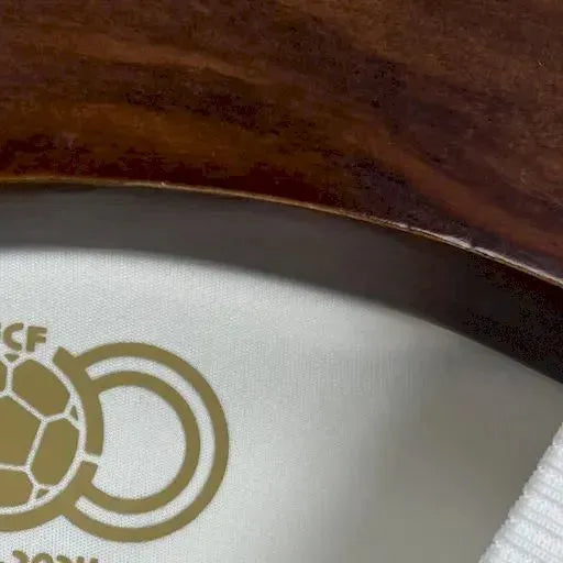 202425 Colombia 100th Anniversary Special Edition Jersey Fan Version
