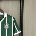 Retro 1993 Palmeiras home jersey Fan Version
