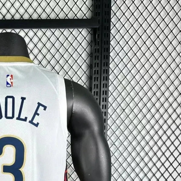 NBA New Orleans Pelicans 2023 V-Neck White jersey POOLE#3